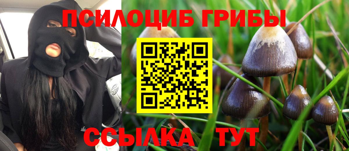Галлюциногенные грибы ЛСД Луга