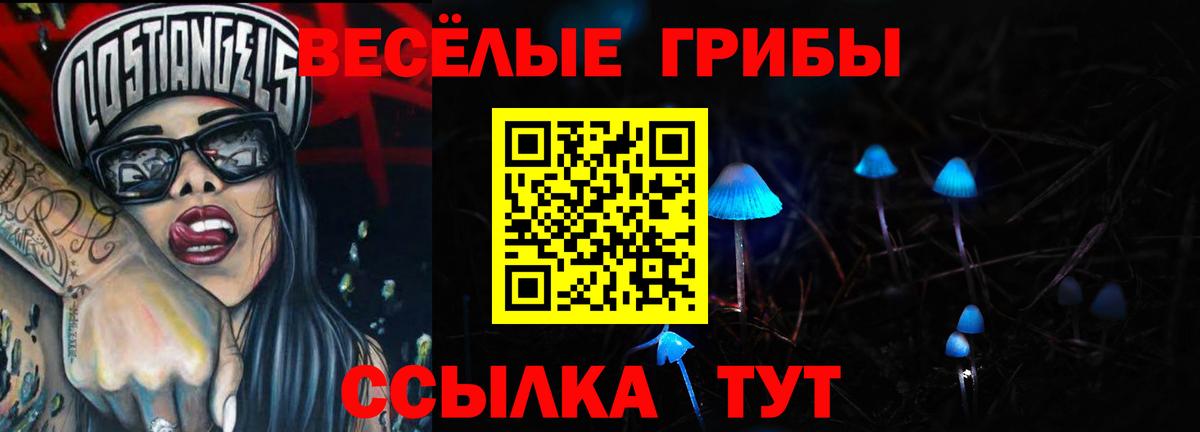 Луга  Галлюциногенные грибы MAGIC MUSHROOMS  Вход с VPN 